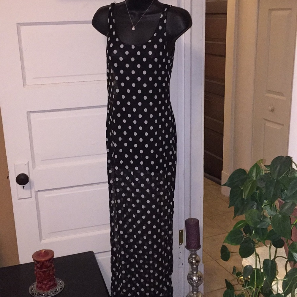 Sheer Polkadots